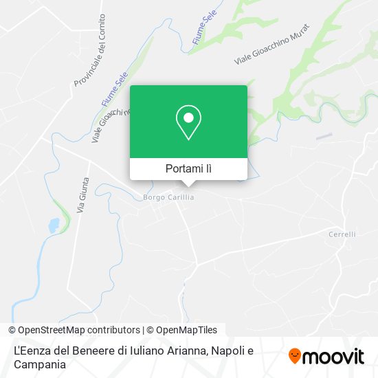 Mappa L'Eenza del Beneere di Iuliano Arianna