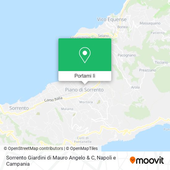 Mappa Sorrento Giardini di Mauro Angelo & C