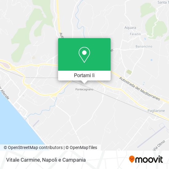 Mappa Vitale Carmine