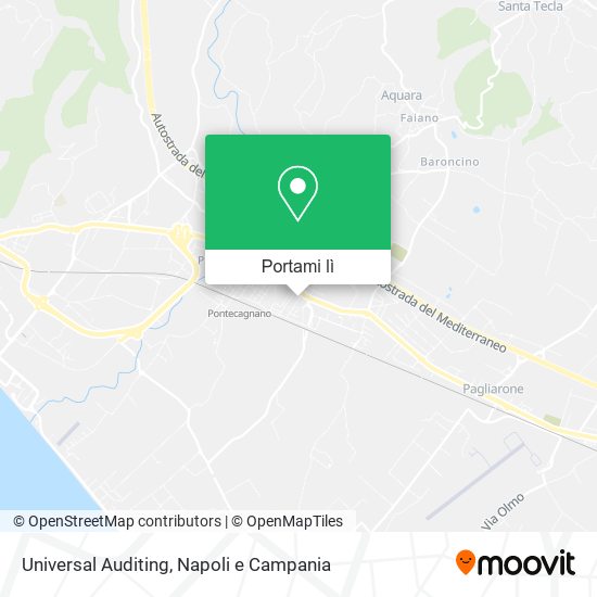 Mappa Universal Auditing