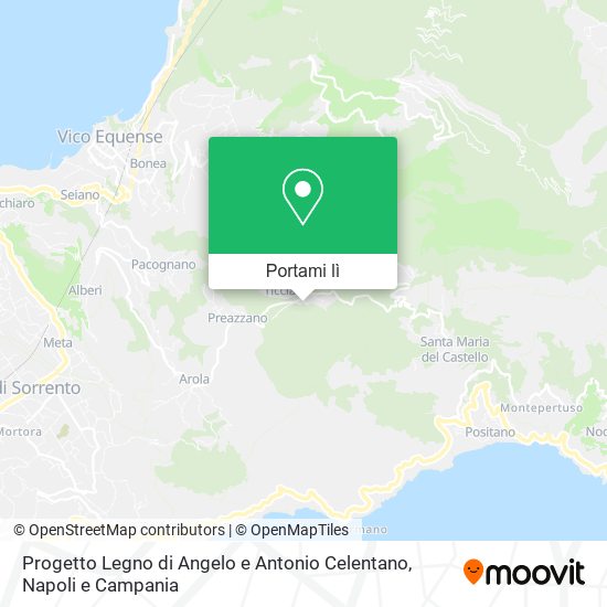 Mappa Progetto Legno di Angelo e Antonio Celentano