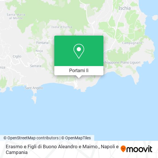 Mappa Erasmo e Figli di Buono Aleandro e Maimo.