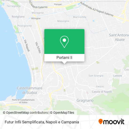 Mappa Futur Infii Semplificata