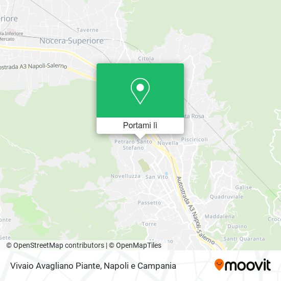 Mappa Vivaio Avagliano Piante