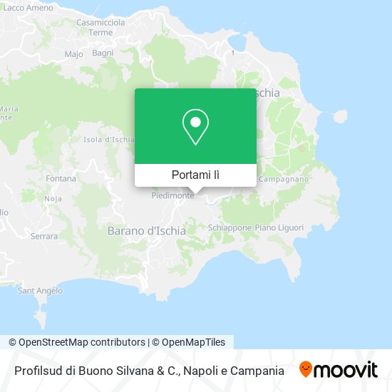 Mappa Profilsud di Buono Silvana & C.