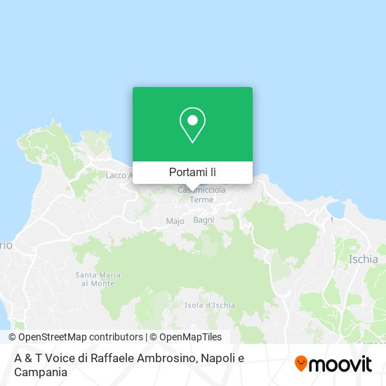 Mappa A & T Voice di Raffaele Ambrosino
