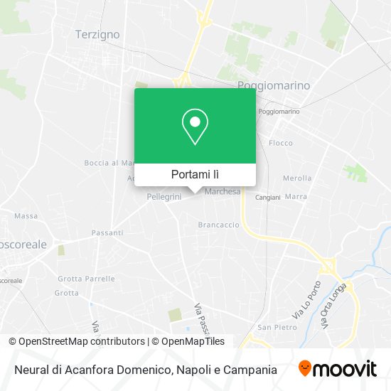 Mappa Neural di Acanfora Domenico