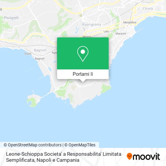 Mappa Leone-Schioppa Societa' a Responsabilita' Limitata Semplificata