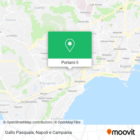 Mappa Gallo Pasquale