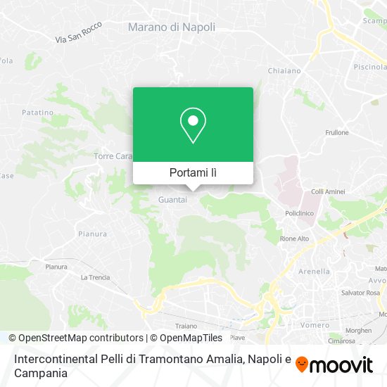 Mappa Intercontinental Pelli di Tramontano Amalia