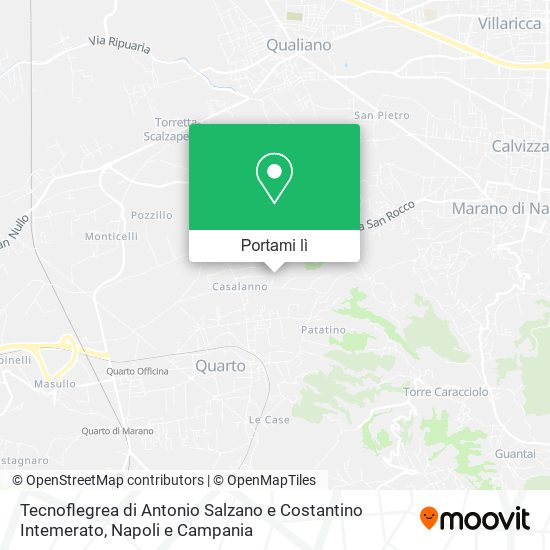 Mappa Tecnoflegrea di Antonio Salzano e Costantino Intemerato