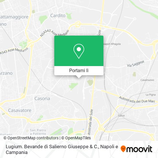 Mappa Lugium. Bevande di Salierno Giuseppe & C.