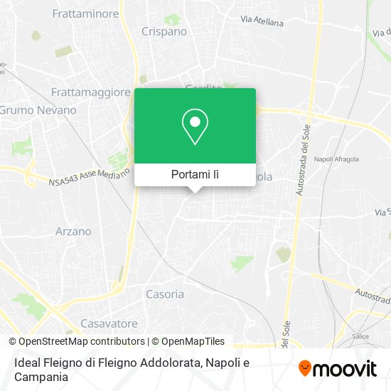 Mappa Ideal Fleigno di Fleigno Addolorata