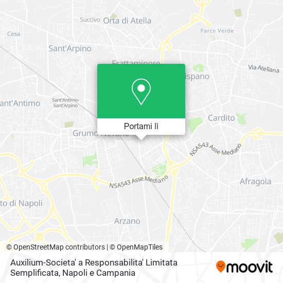 Mappa Auxilium-Societa' a Responsabilita' Limitata Semplificata