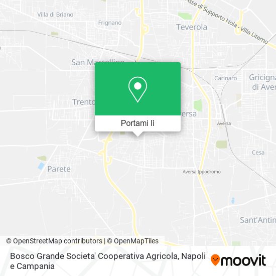 Mappa Bosco Grande Societa' Cooperativa Agricola