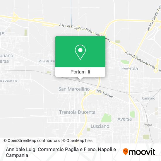 Mappa Annibale Luigi Commercio Paglia e Fieno