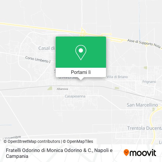 Mappa Fratelli Odorino di Monica Odorino & C.