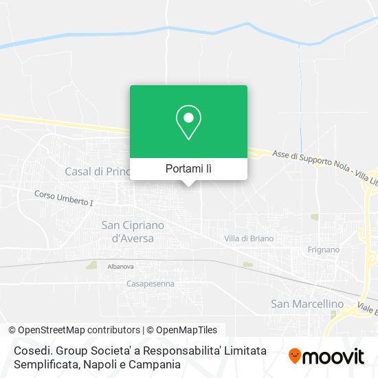 Mappa Cosedi. Group Societa' a Responsabilita' Limitata Semplificata