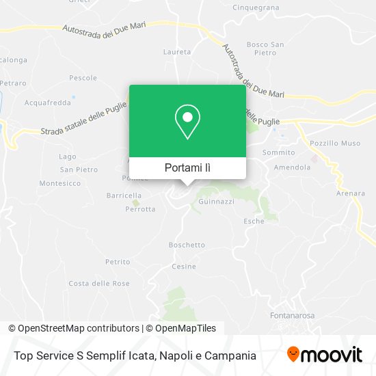 Mappa Top Service S Semplif Icata