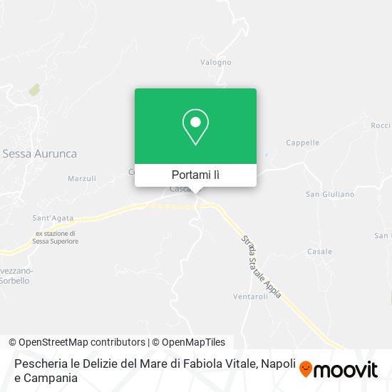 Mappa Pescheria le Delizie del Mare di Fabiola Vitale