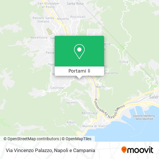 Mappa Via Vincenzo Palazzo