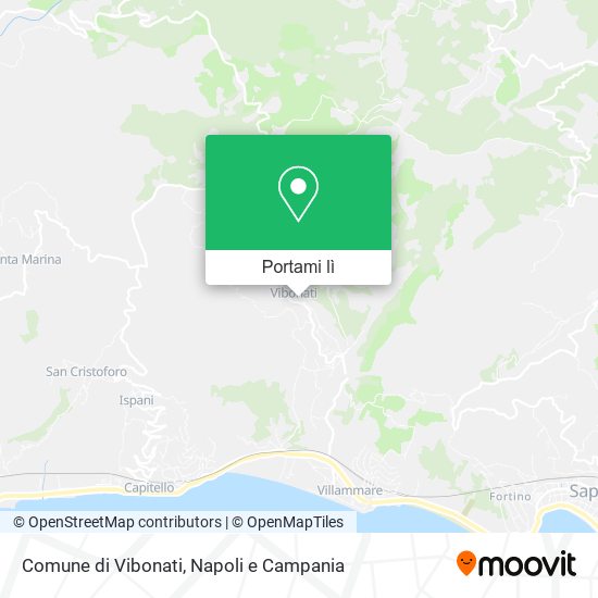 Mappa Comune di Vibonati