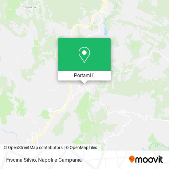 Mappa Fiscina Silvio