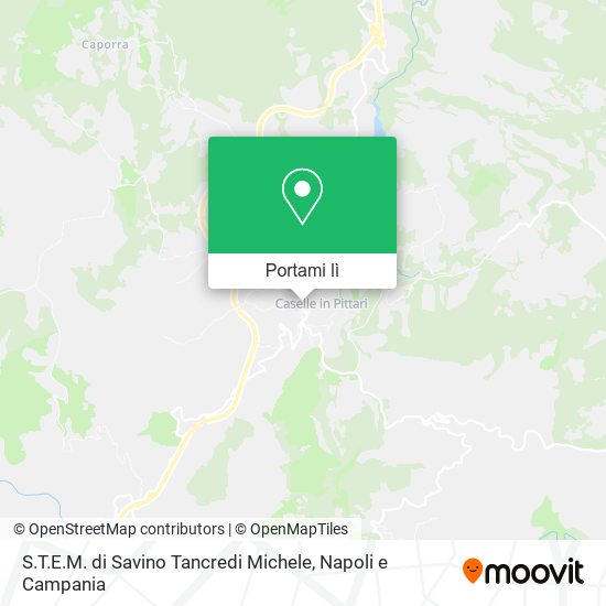 Mappa S.T.E.M. di Savino Tancredi Michele