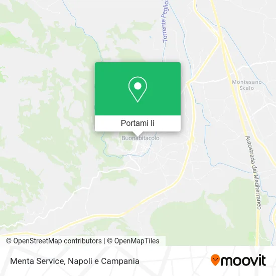 Mappa Menta Service
