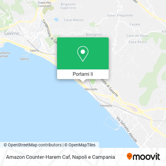 Mappa Amazon Counter-Harem Caf