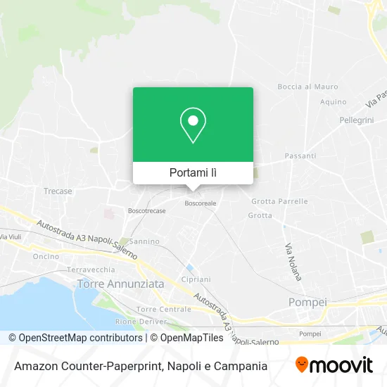 Mappa Amazon Counter-Paperprint