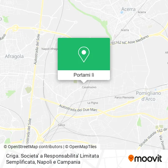 Mappa Criga. Societa' a Responsabilita' Limitata Semplificata