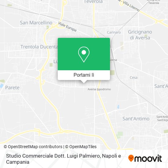 Mappa Studio Commerciale Dott. Luigi Palmiero