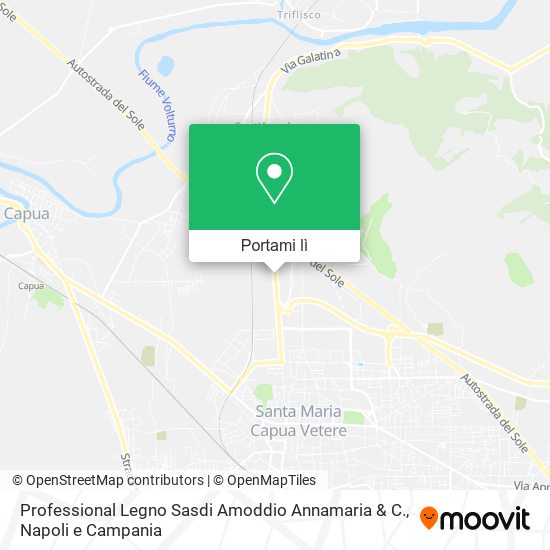 Mappa Professional Legno Sasdi Amoddio Annamaria & C.