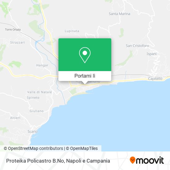 Mappa Proteika Policastro B.No