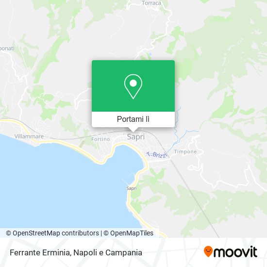 Mappa Ferrante Erminia