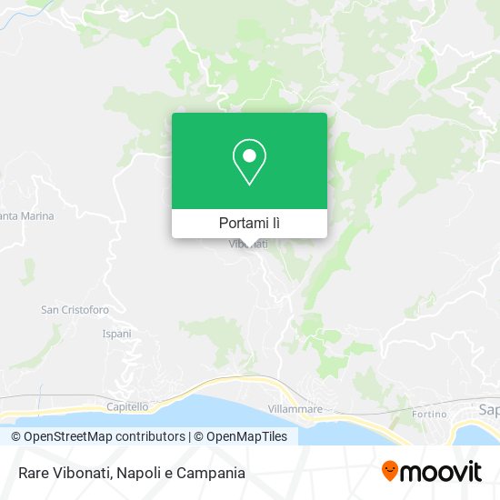 Mappa Rare Vibonati
