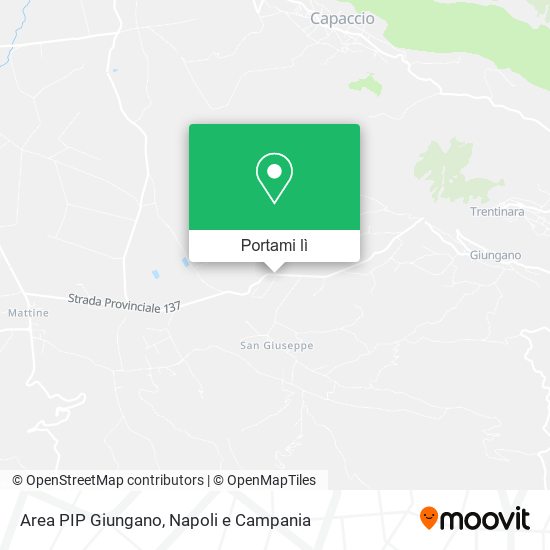 Mappa Area PIP Giungano
