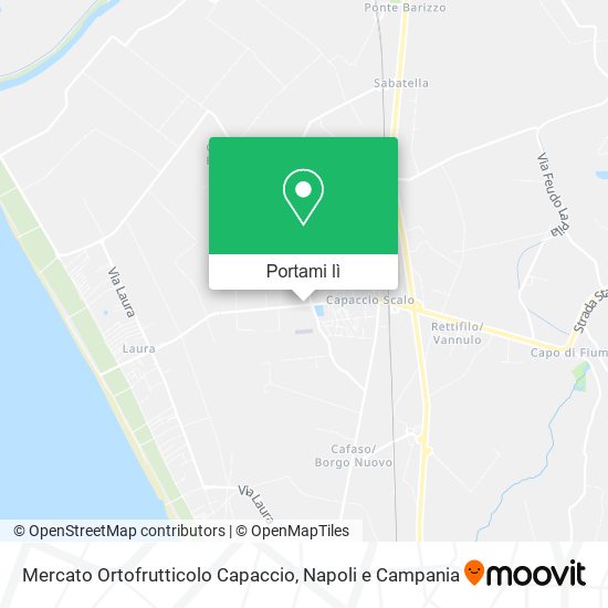 Mappa Mercato Ortofrutticolo Capaccio