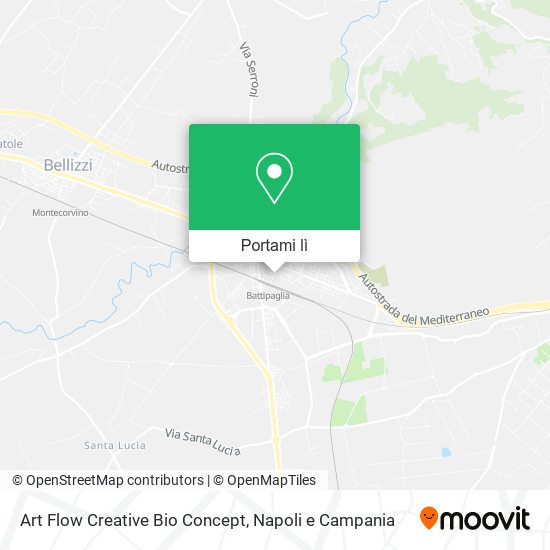 Mappa Art Flow Creative Bio Concept