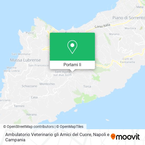 Mappa Ambulatorio Veterinario gli Amici del Cuore