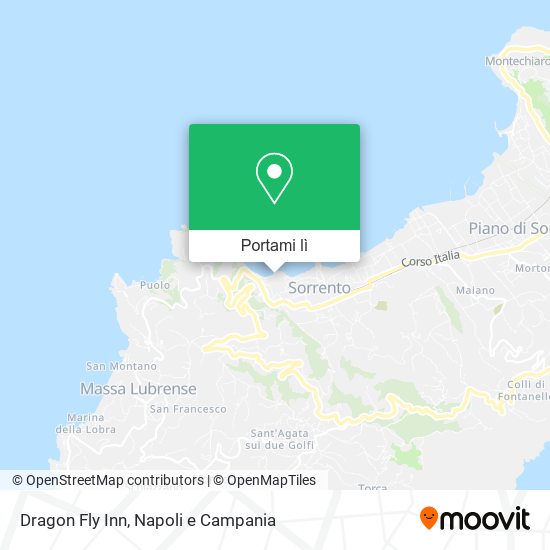 Mappa Dragon Fly Inn