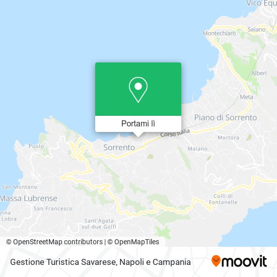 Mappa Gestione Turistica Savarese