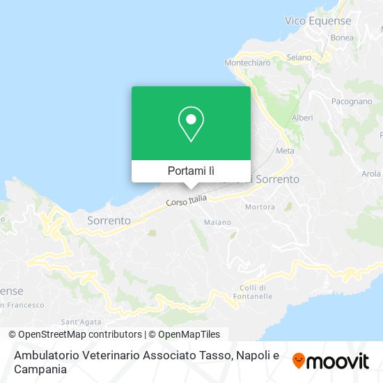 Mappa Ambulatorio Veterinario Associato Tasso