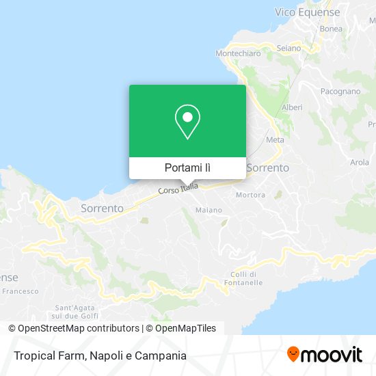 Mappa Tropical Farm