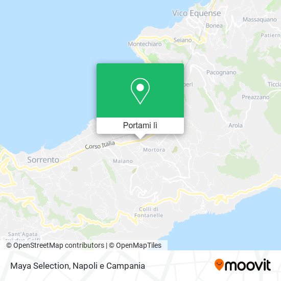 Mappa Maya Selection