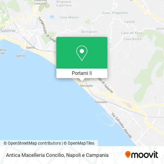 Mappa Antica Macelleria Concilio