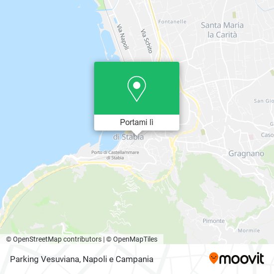 Mappa Parking Vesuviana