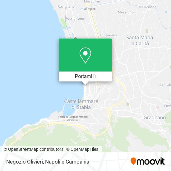 Mappa Negozio Olivieri