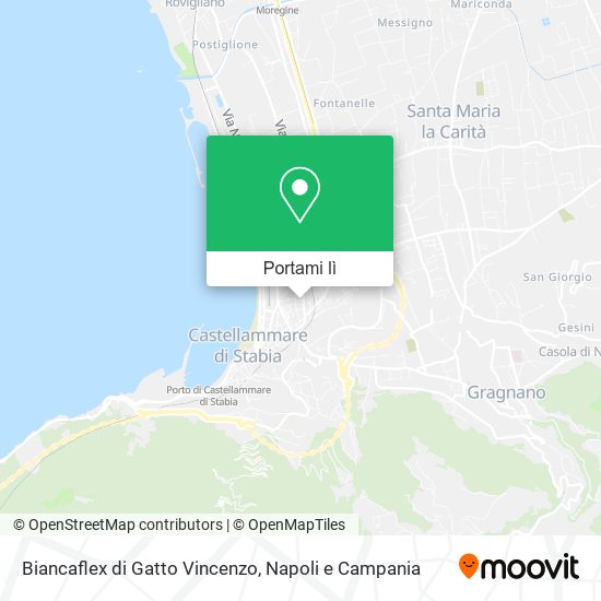 Mappa Biancaflex di Gatto Vincenzo